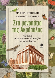 265079-Στα μονοπάτια της Ακρόπολης