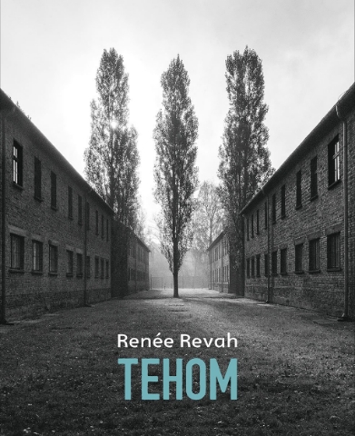 287005-Tehom